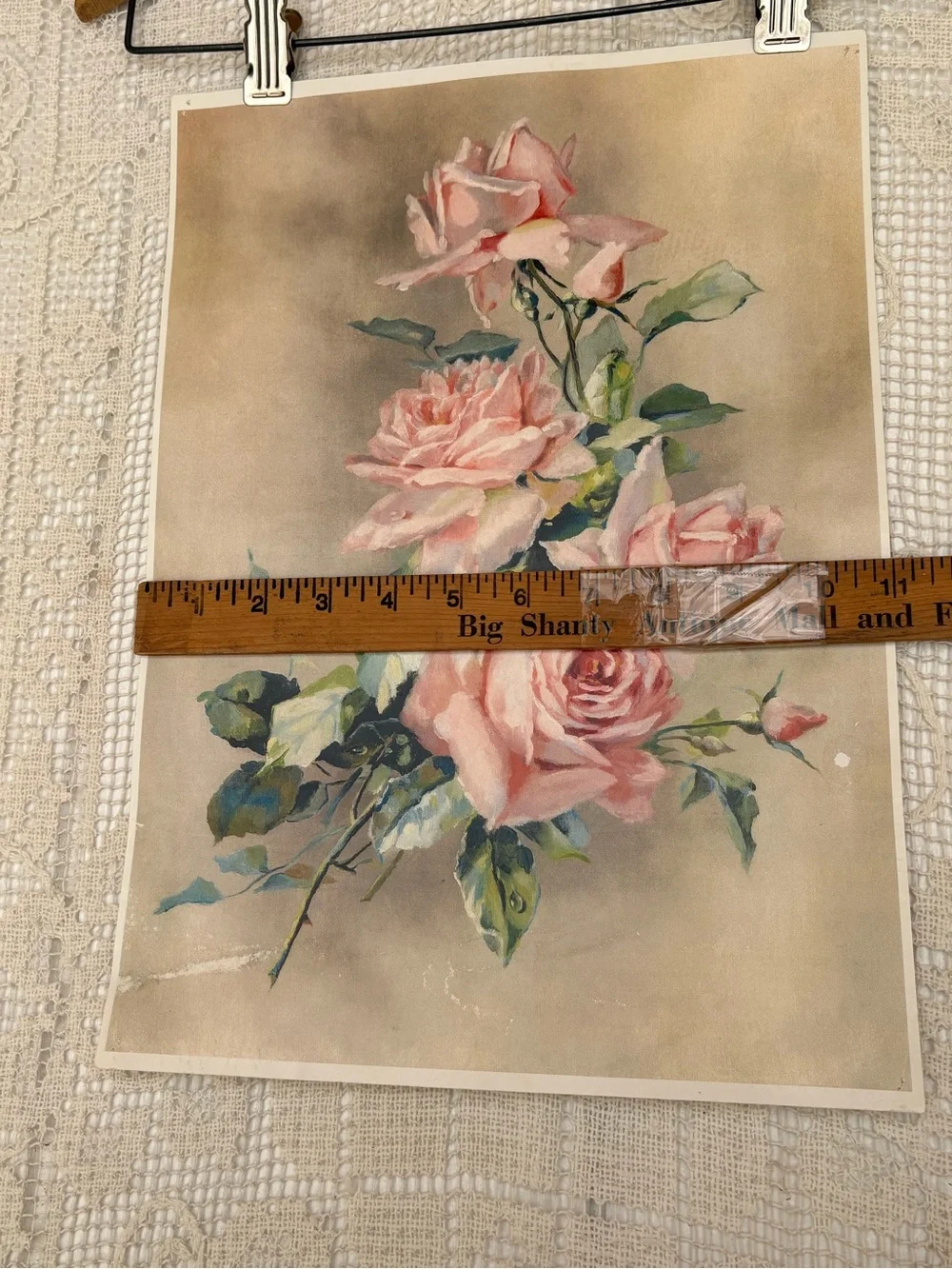 Victorian Rose Print Used !
